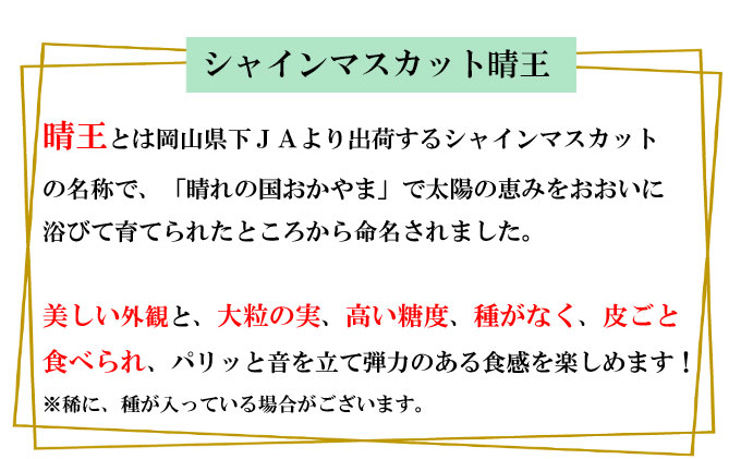 ぶどう 2026年 先行予約 シャイン マスカット 晴王 600g以上×1房 種無し ブドウ 葡萄  岡山県産 国産 フルーツ 果物 ギフト デザート 果実 美しい 大粒 高糖度 皮ごと パリッ 弾力 食感 食べやすい 人気 