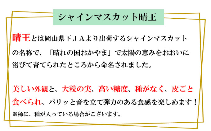 ぶどう 2026年 先行予約 シャイン マスカット 晴王 約2kg 3～6房 種無し ブドウ 葡萄  岡山県産 国産 フルーツ 果物 ギフト デザート 果実 美しい 大粒 高糖度 皮ごと パリッ 弾力 食感 