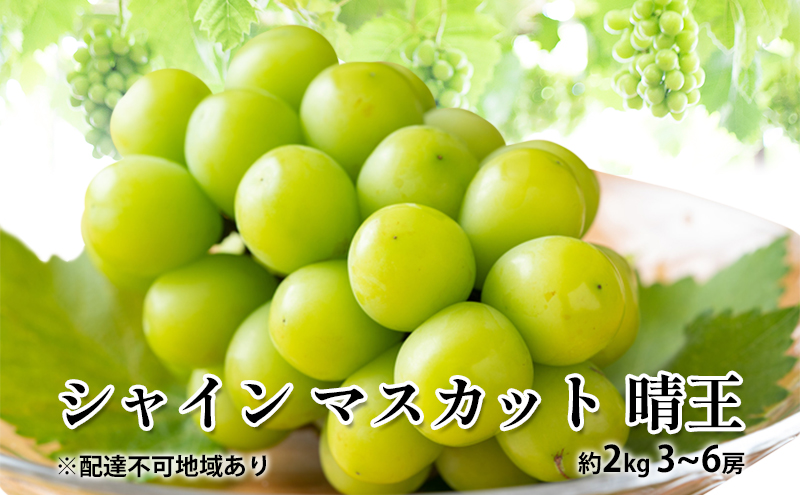 yR˓szԂǂ 2025N s\ VC }XJbg  2kg 3`6[ 햳 uhE   RY Y t[c ʕ Mtg fU[g ʎ  嗱 x 炲 pb e H