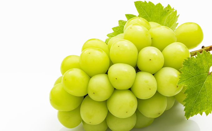 ぶどう 2026年 先行予約 シャイン マスカット 晴王 約2kg 3～6房 種無し ブドウ 葡萄  岡山県産 国産 フルーツ 果物 ギフト デザート 果実 美しい 大粒 高糖度 皮ごと パリッ 弾力 食感 