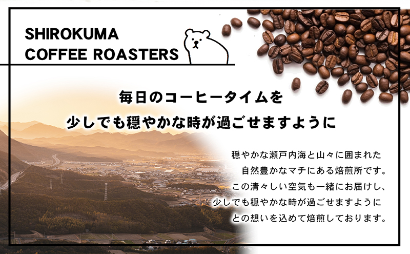 自家焙煎珈琲豆専門店のおうちコーヒー（ブレンド） 300g コーヒー豆 コーヒー粉 