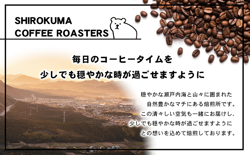 自家焙煎珈琲豆専門店のおうちコーヒー（ブラジルショコラ） 300g コーヒー豆 コーヒー粉 