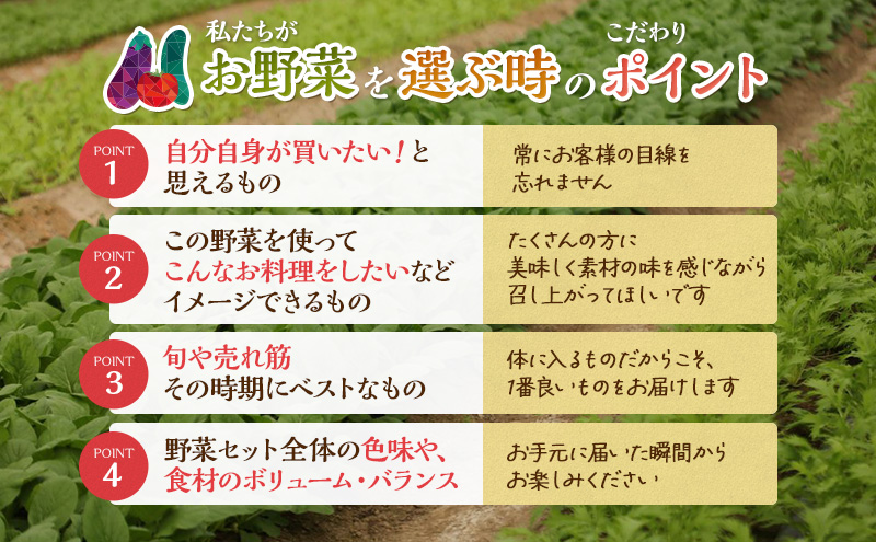 静岡県袋井市のふるさと納税 とれたて 野菜 パック 定期便 3回 季節の野菜 セット 詰め合わせ 8品前後 野菜セット 野菜詰め合わせ 3ヶ月 ジャガイモ 人参 大根 小松菜 白ネギ グリーンリーフ チンゲン菜 椎茸 トマト 水菜 葉ネギ 人気 厳選 静岡県
