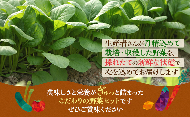 静岡県袋井市のふるさと納税 とれたて 野菜 パック 定期便 3回 季節の野菜 セット 詰め合わせ 8品前後 野菜セット 野菜詰め合わせ 3ヶ月 ジャガイモ 人参 大根 小松菜 白ネギ グリーンリーフ チンゲン菜 椎茸 トマト 水菜 葉ネギ 人気 厳選 静岡県