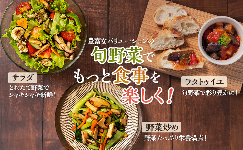 静岡県袋井市のふるさと納税 とれたて 野菜 パック 定期便 3回 季節の野菜 セット 詰め合わせ 8品前後 野菜セット 野菜詰め合わせ 3ヶ月 ジャガイモ 人参 大根 小松菜 白ネギ グリーンリーフ チンゲン菜 椎茸 トマト 水菜 葉ネギ 人気 厳選 静岡県
