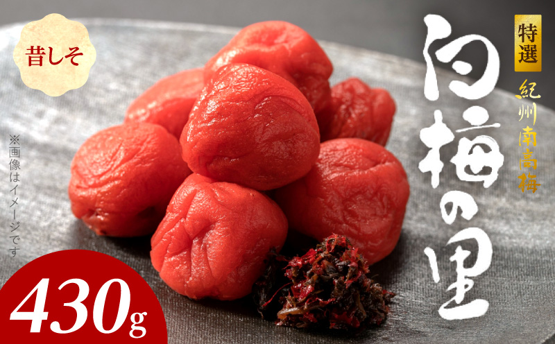 �y�a�̎R���L�c�S���󒬁zSF2010_���I�I�B�썂�~�u���~�̗��v�̂����@430��