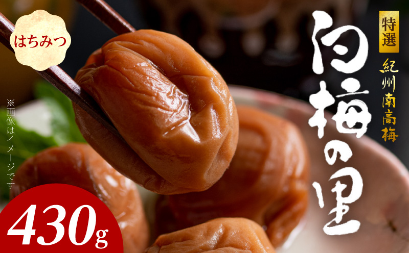 �y�a�̎R���L�c�S���󒬁zSF2011_���I�I�B�썂�~�u���~�̗��v�͂��݂@430��