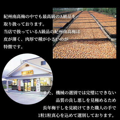 SF1011_特選紀州南高梅「白梅の里」はちみつ　500ｇ