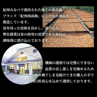 SF1023_紀州南高梅　はちみつ　家庭用Ｂ級　650ｇ