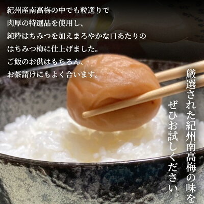 SF1023_紀州南高梅　はちみつ　家庭用Ｂ級　650ｇ