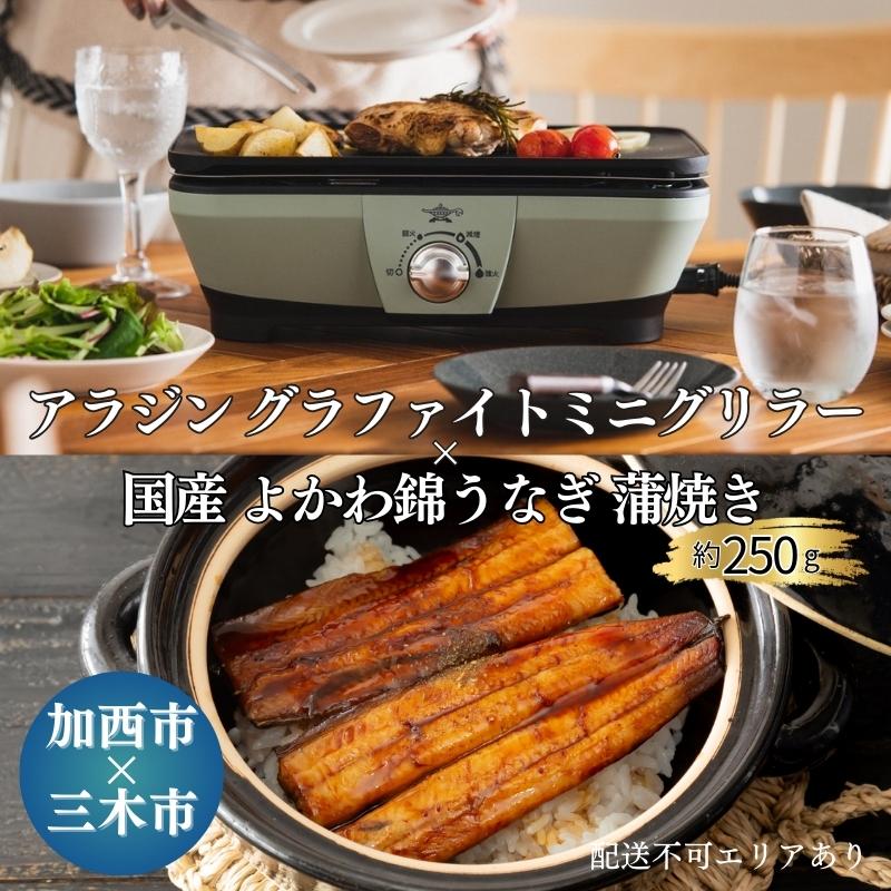 アラジン グラファイトミニグリラー 緑 国産 よかわ錦うなぎ 蒲焼き 約250g セット CAG-MG7AG