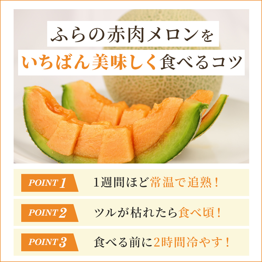 2025年発送】ふらの 赤肉メロン 厳選 甘味 Mサイズ 1.35kg～1.6