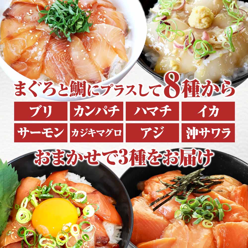 高知県田野町のふるさと納税 これが魚屋の漬け丼だ！魚屋のおまかせ5種漬け丼セット(マグロ＋鯛＋おまかせ3種) 5種×2P 合計10パック 各80g 鮪 ハマチ 鯛 カンパチ ブリ 詰め合わせ 漬け丼 漬け どんぶり 丼 鮮 魚 真空パック 個包装 冷凍
