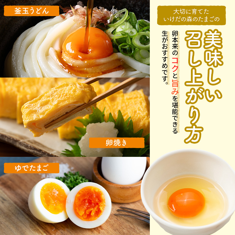 卵 わずか4%の希少な純国産鶏 いけだの森たまご 30個 こだわり おこめのたまご 玉子 鶏卵 生卵 産地直送 冷蔵配送 TKG 卵かけご飯 岐阜県産 