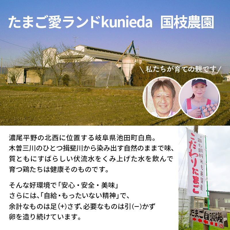 卵 わずか4%の希少な純国産鶏 いけだの森たまご 30個 こだわり おこめのたまご 玉子 鶏卵 生卵 産地直送 冷蔵配送 TKG 卵かけご飯 岐阜県産 