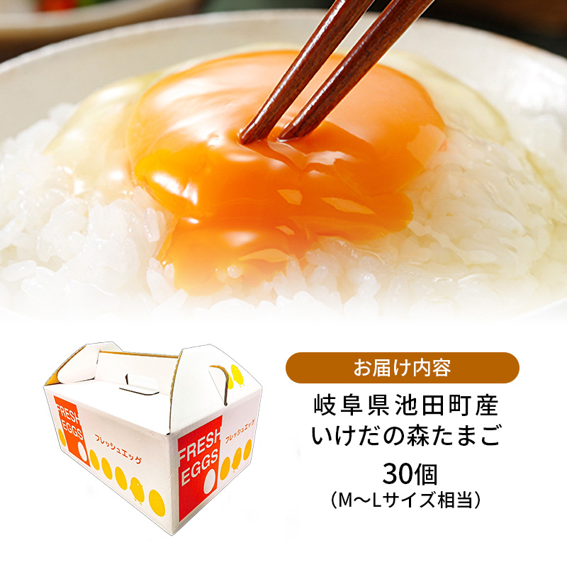 卵 わずか4%の希少な純国産鶏 いけだの森たまご 30個 こだわり おこめのたまご 玉子 鶏卵 生卵 産地直送 冷蔵配送 TKG 卵かけご飯 岐阜県産 