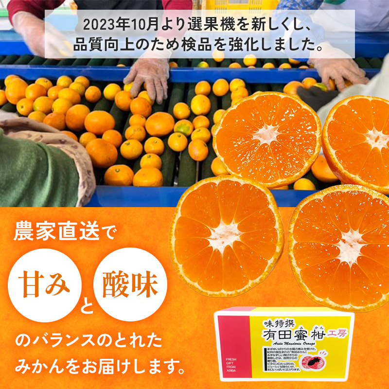 和歌山県美浜町のふるさと納税 【ご家庭用】和歌山有田みかん約10kg(2L、3Lサイズ)〇 ※北海道・沖縄・離島への配送不可 ※2025年11月上旬～2026年1月下旬頃に順次発送予定