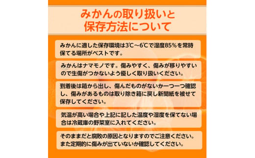和歌山県美浜町のふるさと納税 【ご家庭用】和歌山有田みかん約10kg(2L、3Lサイズ)〇 ※北海道・沖縄・離島への配送不可 ※2025年11月上旬～2026年1月下旬頃に順次発送予定