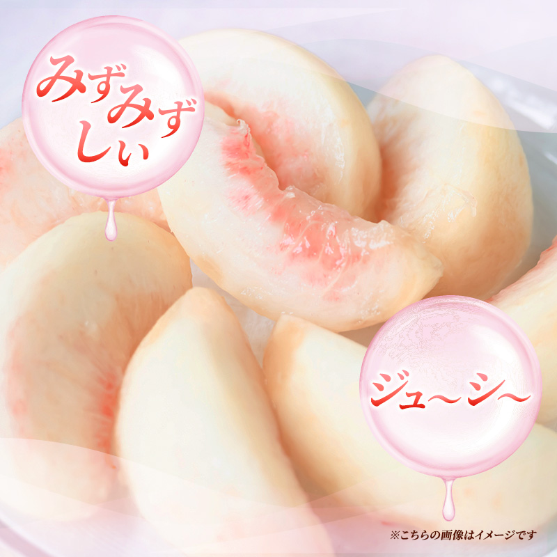 2026年発送 先行予約 「浅間水蜜桃プレミアム」 もも あかつき 秀品 約2kg 5～9玉 ふるさと納税 果物 桃 フルーツ モモ 果肉  長野県産 小諸市