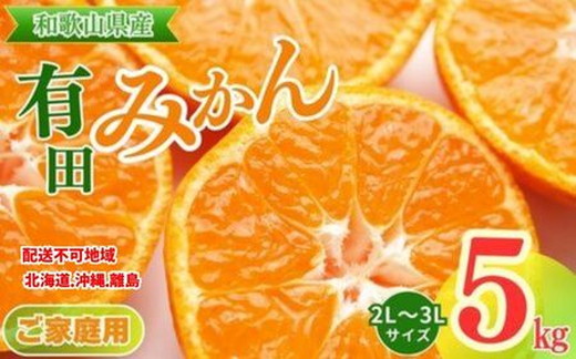 【和歌山県美浜町】【ご家庭用】和歌山有田みかん約5kg(2L、3Lサイズ)【美浜町】〇 ※北海道・沖縄・離島への配送不可 ※2025年11月上旬〜2026年1月下旬頃に順次発送予定