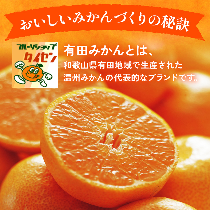 【ご家庭用】和歌山有田みかん約5kg(2L、3Lサイズ)【美浜町】〇 ※2025年11月上旬～2026年1月下旬頃に順次発送予定