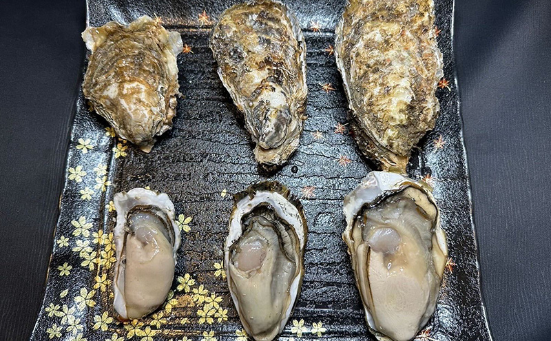 北海道 厚岸産 殻付き 牡蠣 LLサイズ 14個 お中元 特別選別品 魚貝類 生牡蠣 海鮮 海の幸 海産物 ふっくら 濃厚 甘み マルえもん オイスター 生食用殻付カキ 生食用 