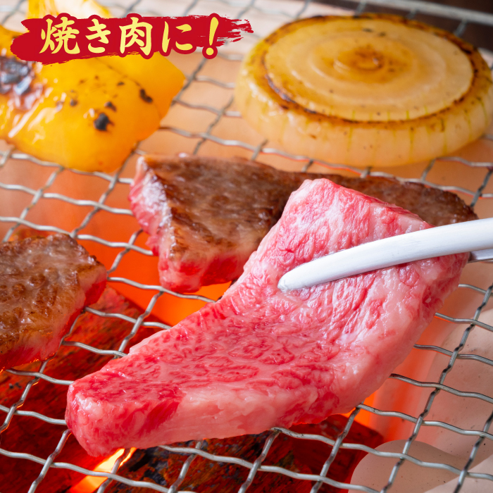 佐賀牛 希少部位 焼肉4点盛り合わせ【脂身系ジューシー】 800g