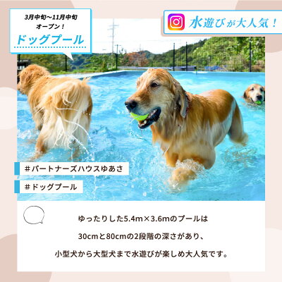 AL6011_ペットと泊まるログコテージの宿『パートナーズハウスゆあさ』3名様宿泊券（1泊2食付）【チケット 券 宿泊 宿泊券 旅行 旅行券 利用券 旅館 トラベル】