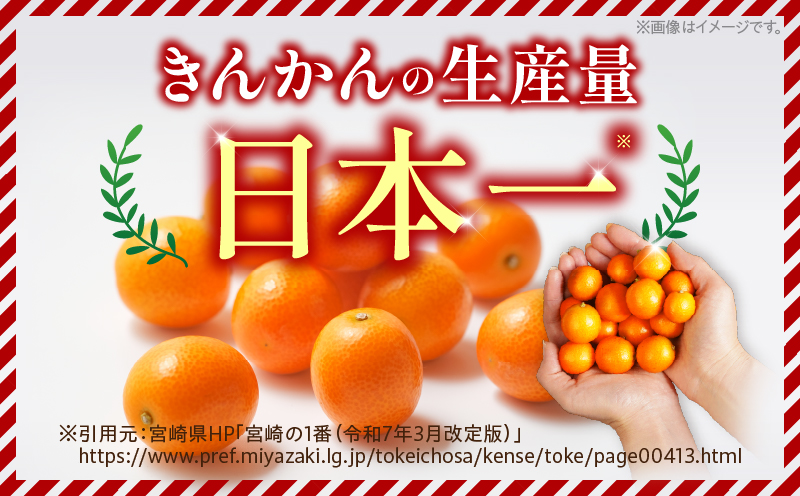 宮崎県日南市のふるさと納税 先行予約 完熟きんかん たまたま 計1kg以上 (1kg×1箱) 希少 期間限定 数量限定 フルーツ 果物 くだもの 柑橘 金柑 国産 食品 大粒 宮崎ブランド おすすめ デザート おやつ ギフト 贈り物 贈答 お返し お祝い おすそ分け 産地直送 日南市 送料無料_A91-24