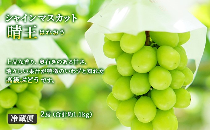 フルーツ 2026年 先行予約 晴れの国 岡山 の フルーツ 定期便 6回コース 桃 ぶどう 梨 岡山県産 国産 フルーツ 果物 ギフト 