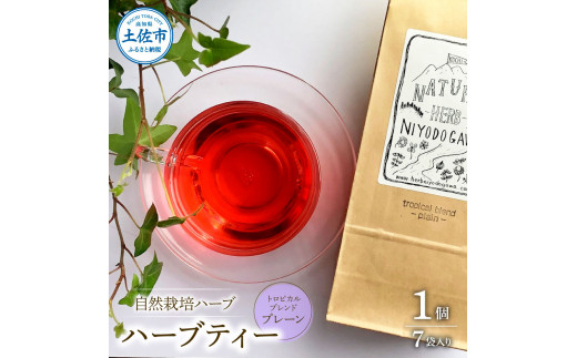 ymyszn[umY R͔|n[u gsJuh v[ n[ueB[ eB[obO^Cv 7ܓ _ n[u eB[ bNX   uh v[g Mtg mY