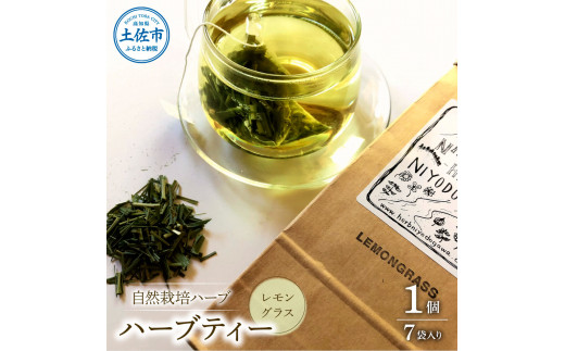土佐文旦 家庭用 約3キロ(2L - 4Lサイズ：6玉前後) 大玉 先行