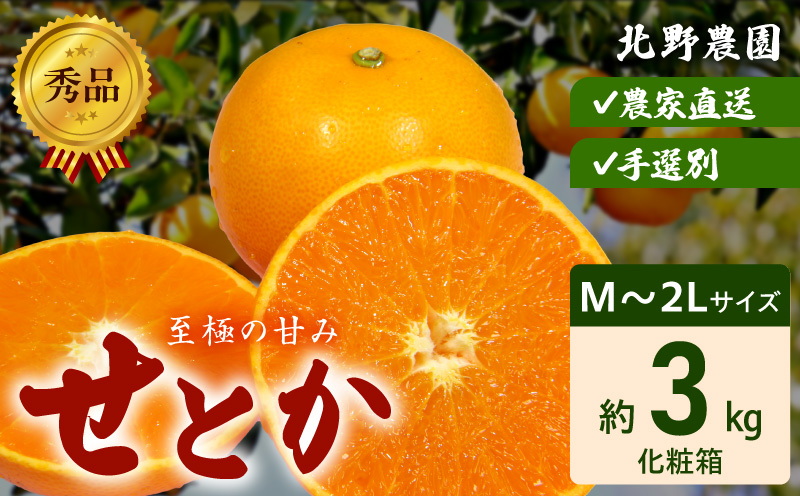 DZ6206_秀品　せとか 和歌山　有田 化粧箱 M～2Lサイズ 大きさお任せ 3kg