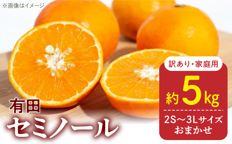 DZ6211_訳あり 家庭用 セミノール  和歌山 有田  2S～3Lサイズ混合 5kg
