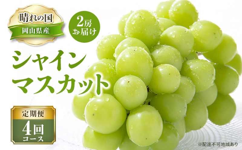 �y���R���������z�y 2026�N ��s�\�� �z�Ԃǂ� ����̍� �V���C���}�X�J�b�g 2�[ ����� 4�� �R�[�X �s2026�N7��-10���o�ׁt ���� �u�h�E ���R���Y �t���[�c �ʕ� ���ʌ��� ������