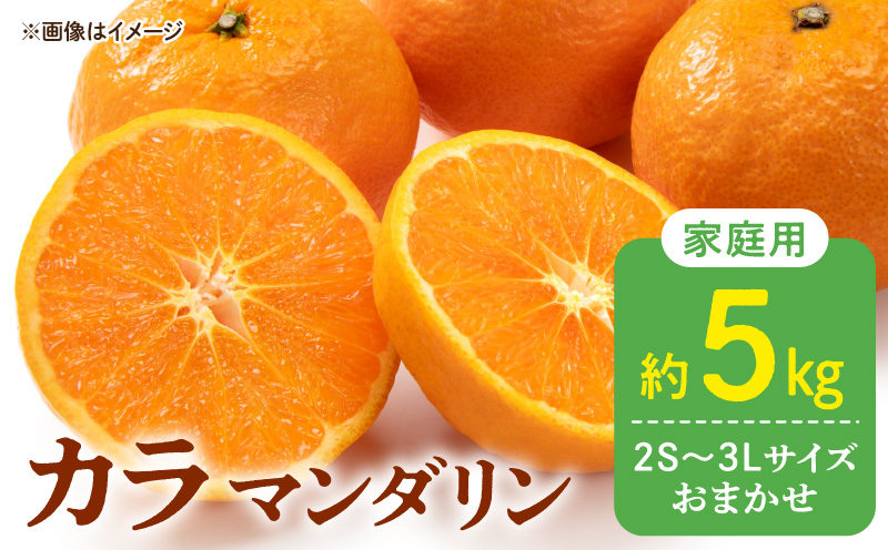 ya̎RLcS󒬁zDZ6221_y2026Ns\z󂠂 ƒp J}_ Ȃ a̎R Lc  2S`3LTCY 5kg