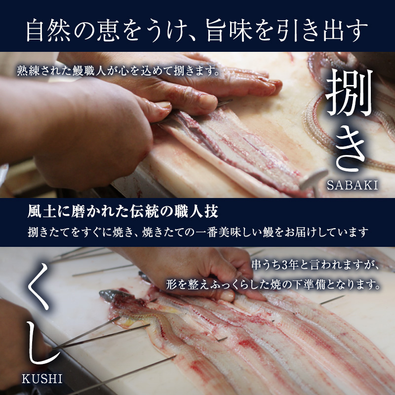 うなぎ蒲焼バラエティセット（三河産） 魚貝類 ウナギ 鰻 