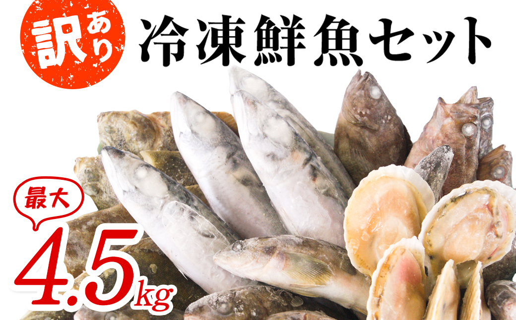 北海道鹿部町のふるさと納税 【2025年9月下旬発送】【緊急支援品】北海道 冷凍鮮魚セット 最大4.5kg 「漁師応援プロジェクト！」 下処理済み 4～5種 ホタテが必ず入る おまかせ セット 事業者支援 鮮魚 魚 魚介 訳あり セット 詰め合わせ