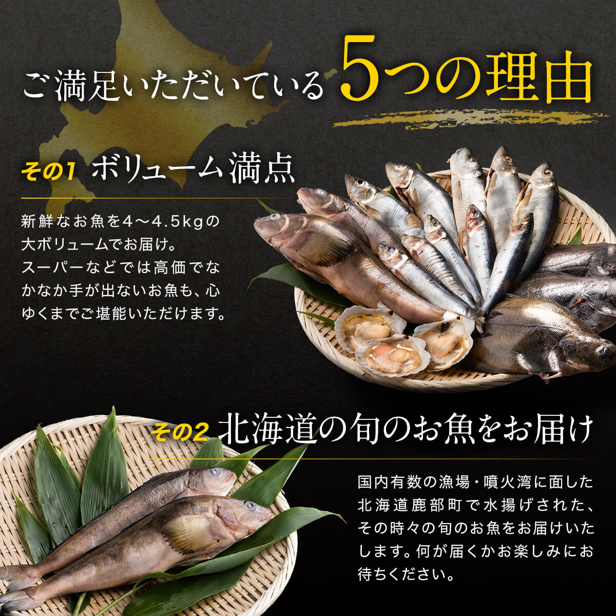 【2025年12月下旬発送】北海道 冷凍鮮魚セット 最大4.5kg 「漁師応援プロジェクト！」 下処理済み 4～5種 ホタテが必ず入る おまかせ セット 魚 魚介 訳あり