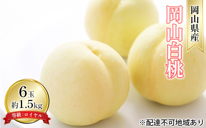 桃 2026年 先行予約 岡山 白桃 6玉 約1.5kg 等級：ロイヤル（1玉 240g以上） もも モモ 岡山県産 国産 フルーツ 果物 ギフト 