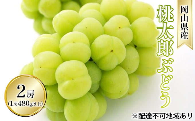 yRʖszԂǂ 2026N s\ Y Ԃǂ 2[i1[ 480gȏ In͔|jp uhE   RY Y t[c ʕ Mtg