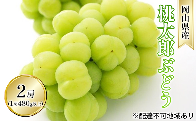 ぶどう 2026年 先行予約 桃太郎 ぶどう 2房（1房 480g以上 ハウス栽培）贈答用 ブドウ 葡萄  岡山県産 国産 フルーツ 果物 ギフト 