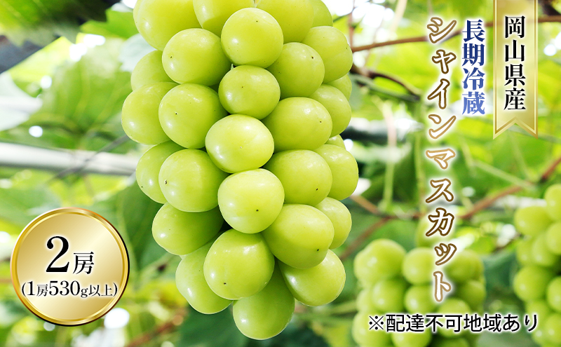 ぶどう 2025年 先行予約 長期冷蔵 シャイン マスカット 2房入り（1房 530g以上） ブドウ 葡萄  岡山県産 国産 フルーツ 果物 ギフト 