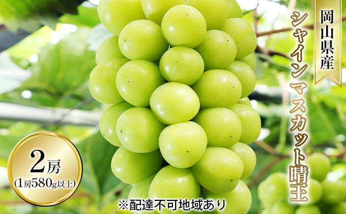 yRʖszԂǂ 2026N s\ VC }XJbg  2[i1[ 580gȏ In͔|j uhE   RY Y t[c ʕ Mtg