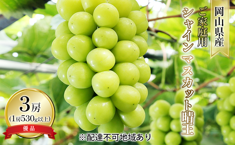 yRʖszԂǂ 2026N s\ ƒp VC }XJbg  Di 3[i1[ 530gȏ In͔|j uhE   RY Y t[c ʕ