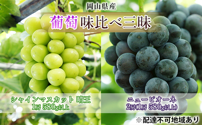 【岡山県玉野市】ぶどう 2026年 先行予約 葡萄 味比べ三昧 シャイン マスカット  晴王 1房 580g以上 ニュー ピオーネ  2房(1房 580g以上)(ハウス栽培)詰合せ ブドウ 葡萄  岡山県産 国産 フルーツ 果物 ギフト