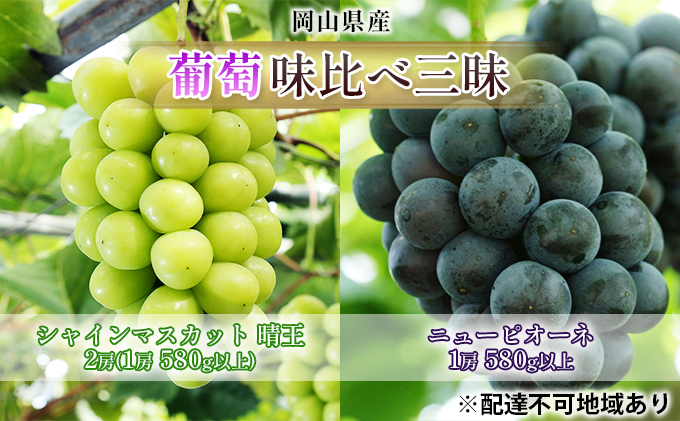 ぶどう 2026年 先行予約 葡萄 味比べ三昧 シャイン マスカット 晴王 2房（1房 580g以上）ニュー ピオーネ  1房 580g以上（ハウス栽培）詰合せ ブドウ 葡萄  岡山県産 国産 フルーツ 果物 ギフト 