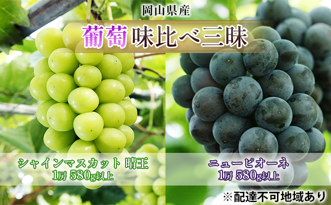 yRʖszԂǂ 2026N s\  ׎O VC }XJbg  1[ 580gȏ j[ sI[l 1[ 580gȏiIn͔|jl uhE   RY Y t[c ʕ Mtg