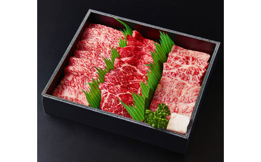 【定期便】A5等級特選近江牛おすすめ部位 焼肉3種（1kg×3回）【FO21W】