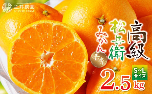 【和歌山県有田郡湯浅町】ZS6143n_主井農園 高級 松兵衛みかん 赤秀 2.5kg (S〜Lサイズおまかせ)